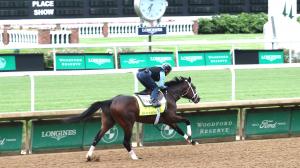 Sierra Leone, Fierceness, 2024 Kentucky Derby
